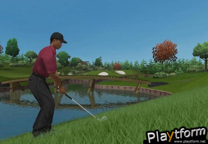 Tiger Woods PGA Tour 2005 (PC)