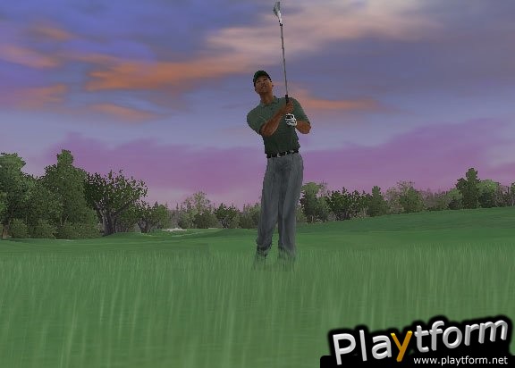 Tiger Woods PGA Tour 2005 (GameCube)