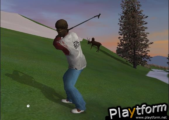 Tiger Woods PGA Tour 2005 (GameCube)