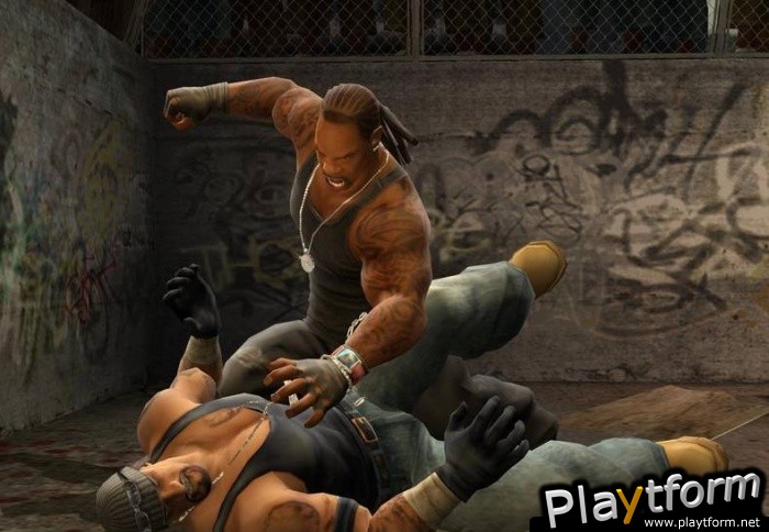 Def Jam: Fight for NY (Xbox)