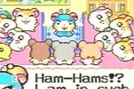 Hamtaro: Rainbow Rescue (Game Boy Advance)