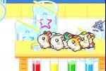 Hamtaro: Rainbow Rescue (Game Boy Advance)