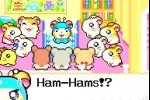 Hamtaro: Rainbow Rescue (Game Boy Advance)