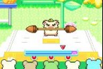 Hamtaro: Rainbow Rescue (Game Boy Advance)