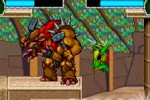 Teenage Mutant Ninja Turtles 2: Battle Nexus (Game Boy Advance)