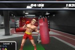 Rocky: Legends (PlayStation 2)