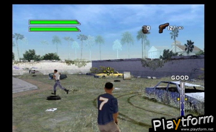 Bad Boys: Miami Takedown (PlayStation 2)