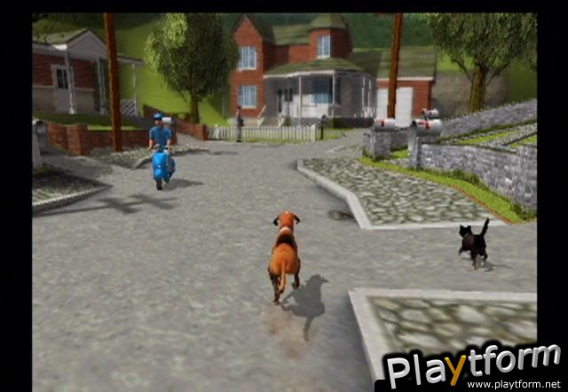 Dog's Life (PlayStation 2)