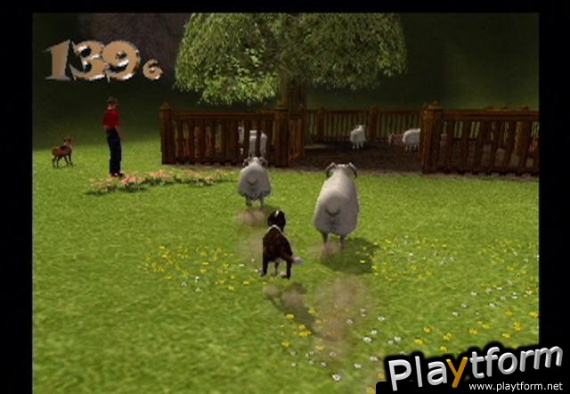 Dog's Life (PlayStation 2)