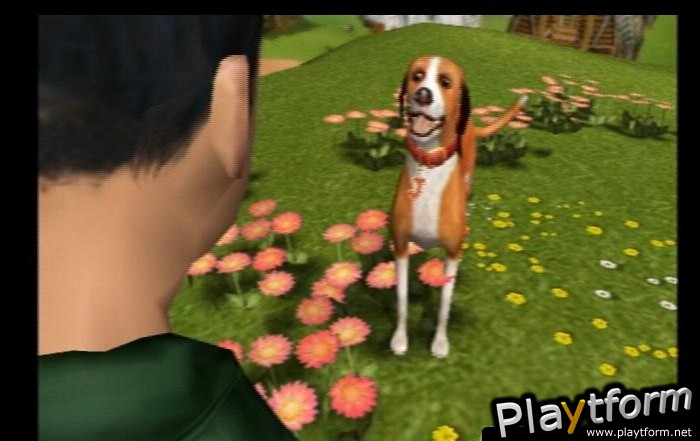 Dog's Life (PlayStation 2)