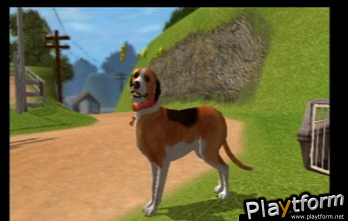 Dog's Life (PlayStation 2)