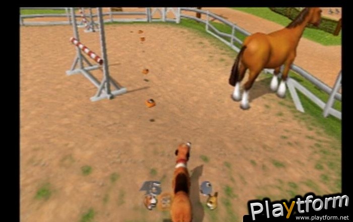 Dog's Life (PlayStation 2)