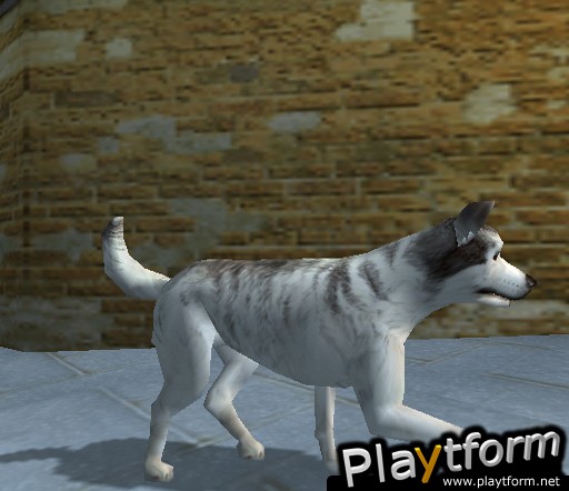 Dog's Life (PlayStation 2)