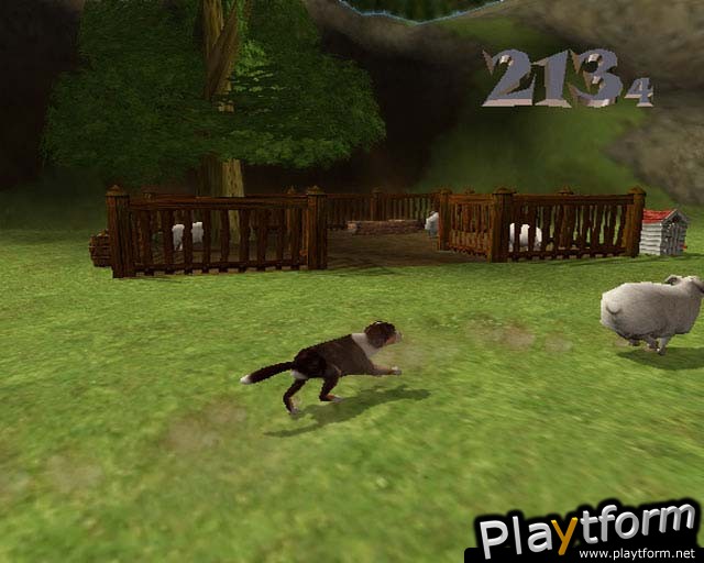 Dog's Life (PlayStation 2)