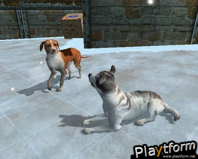 Dog's Life (PlayStation 2)