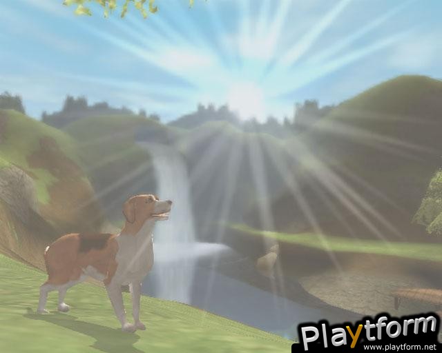 Dog's Life (PlayStation 2)