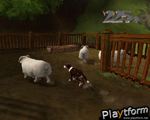 Dog's Life (PlayStation 2)