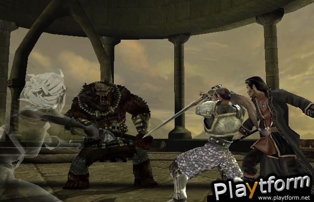 Forgotten Realms: Demon Stone (PlayStation 2)