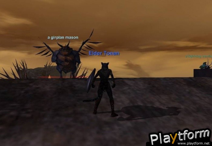 EverQuest: Omens of War (PC)