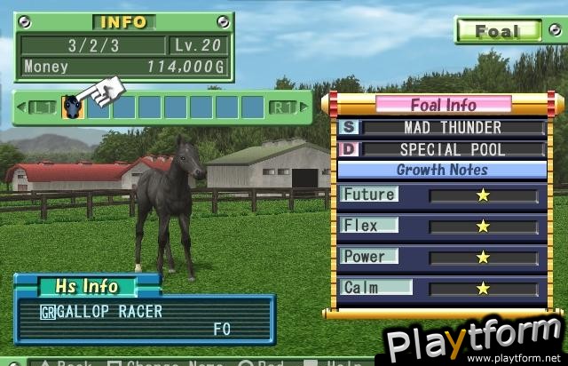 Gallop Racer 2004 (PlayStation 2)