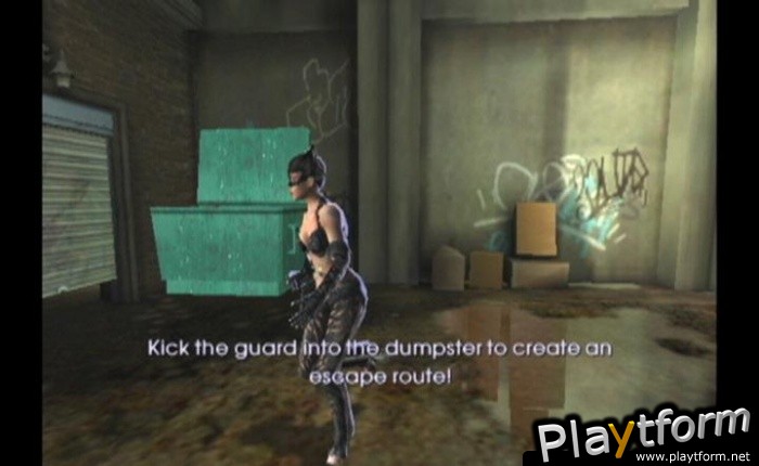 Catwoman (GameCube)