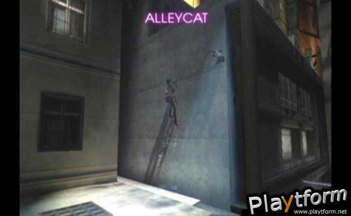 Catwoman (GameCube)