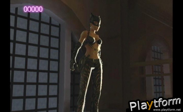 Catwoman (GameCube)