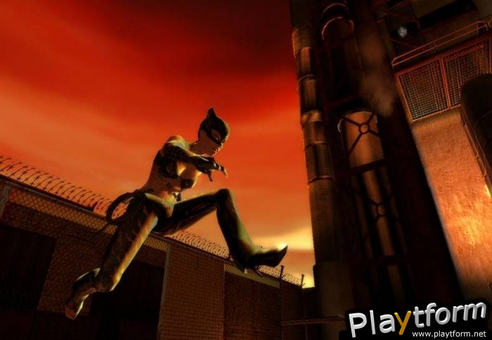 Catwoman (GameCube)