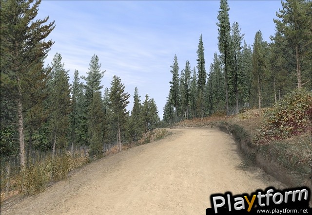 Richard Burns Rally (PlayStation 2)