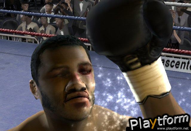 Fight Night 2004 (PlayStation 2)