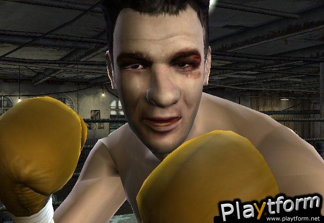 Fight Night 2004 (PlayStation 2)