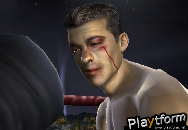 Fight Night 2004 (PlayStation 2)