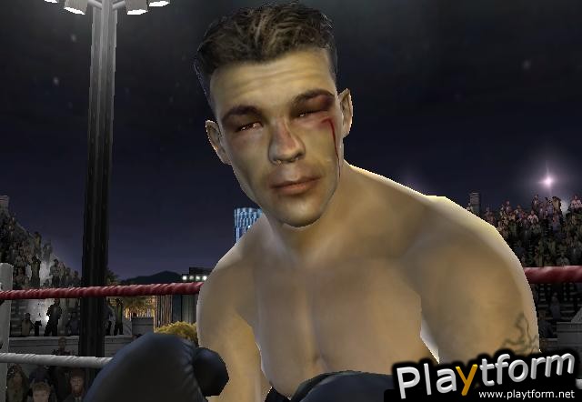 Fight Night 2004 (PlayStation 2)