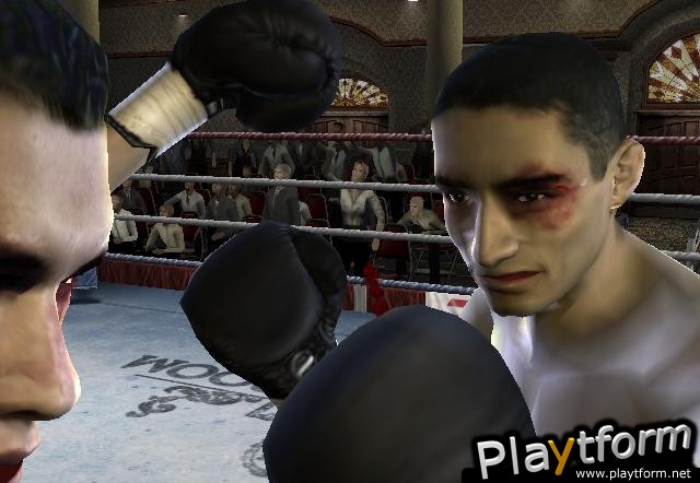 Fight Night 2004 (PlayStation 2)