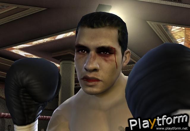 Fight Night 2004 (PlayStation 2)