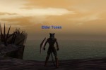 EverQuest: Omens of War (PC)