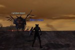 EverQuest: Omens of War (PC)