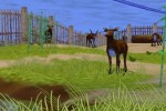 Zoo Empire (PC)