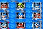 Mega Man Anniversary Collection (GameCube)