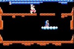 Classic NES Series: Ice Climber (Game Boy Advance)