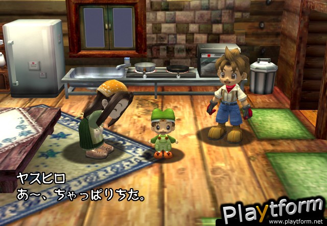 Harvest Moon: A Wonderful Life (GameCube)