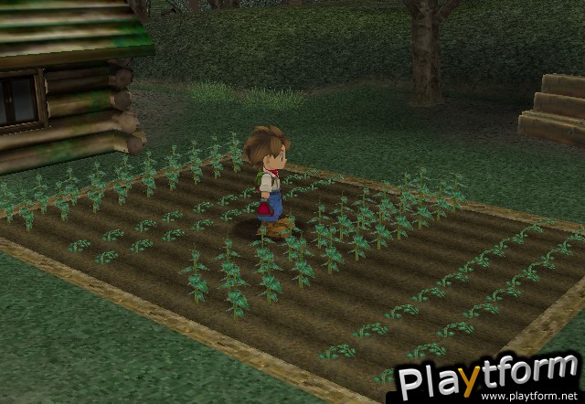 Harvest Moon: A Wonderful Life (GameCube)