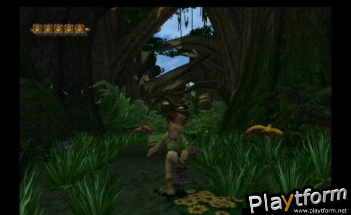 Pitfall: The Lost Expedition (GameCube)