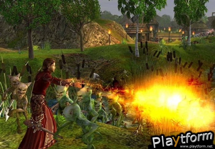 SpellForce: The Order of Dawn (PC)