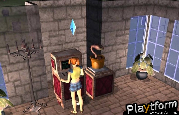 The Sims Bustin' Out (GameCube)