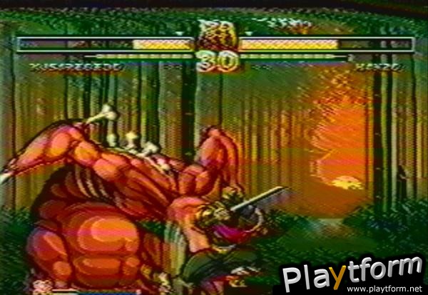 Samurai Shodown V (NeoGeo)