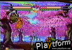 Samurai Shodown V (NeoGeo)