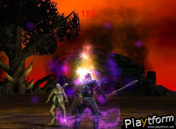 Shadowbane: The Rise of Chaos (PC)