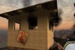 Postal 2: Share the Pain (PC)