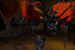 Shadowbane: The Rise of Chaos (PC)